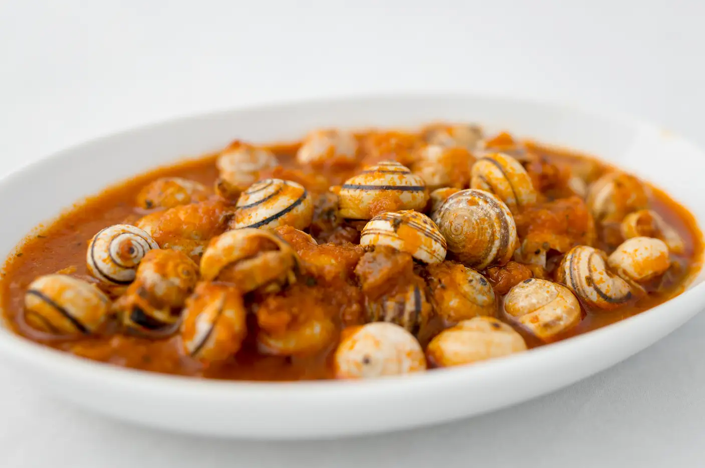 Caracoles blanquillo en salsa